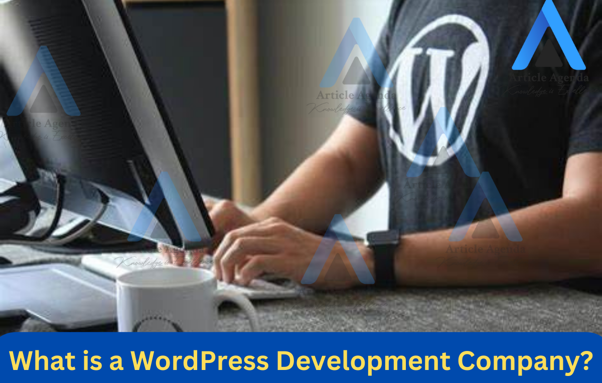 What is a WordPress Development Company