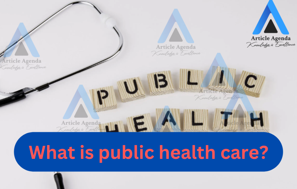What is public health care