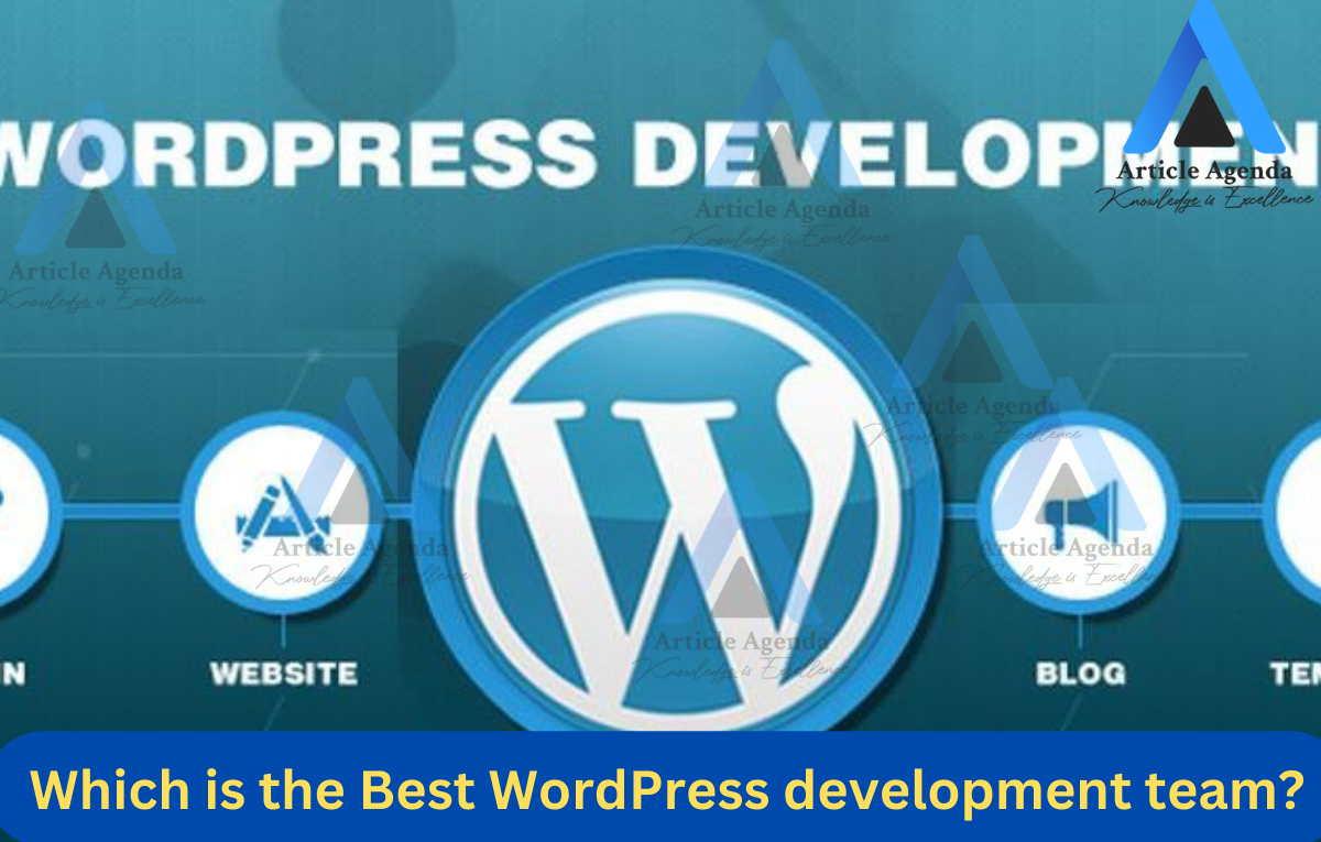 Which is the Best WordPress development team