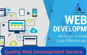 Quality Web Development Service