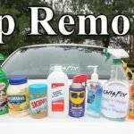 SAP remove