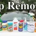 SAP remove